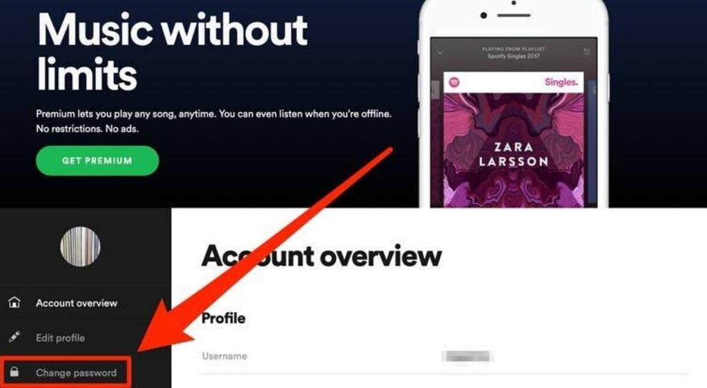 How To Change Spotify Password,spotify password change