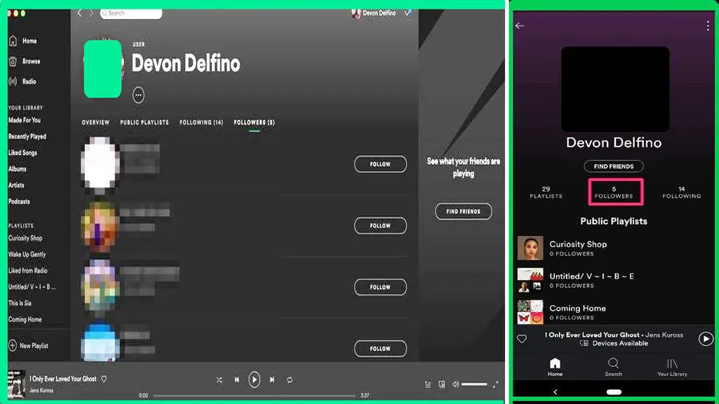 What happens when you follow someone on Spotify, Spotify Follow