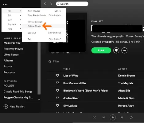 How To Listen To Spotify Offline | Listen Spotify Without Internet