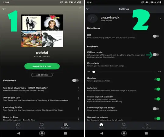 app to download music from spotify