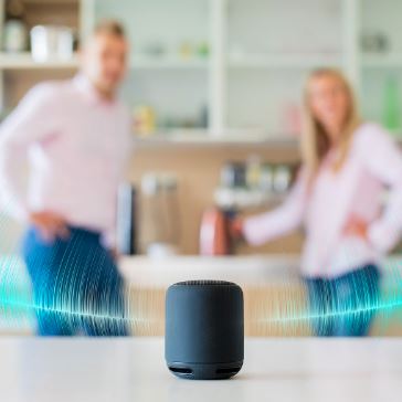 Alexa voice commands