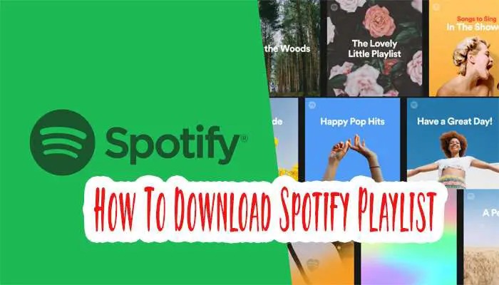 How To Download Spotify Playlist? Listening Song Offline