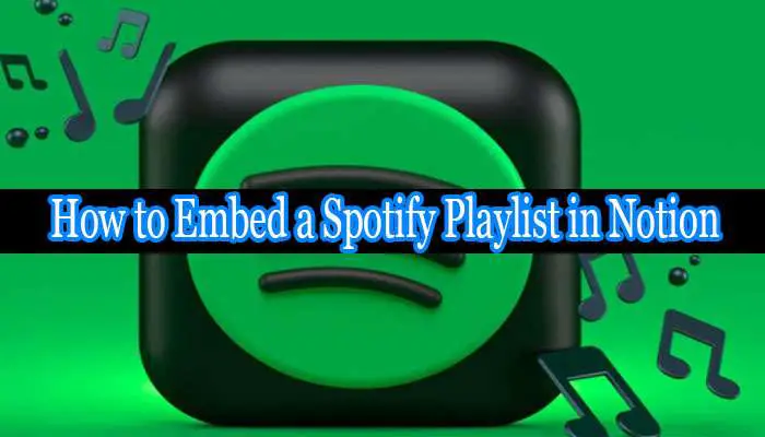 How to Embed a Spotify Playlist in Notion? Step-by-Step Process